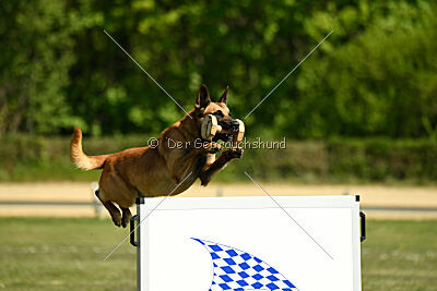 Berec vom Haus Edental