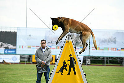 Berry de Fontemordant