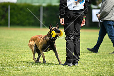 Berry de Fontemordant