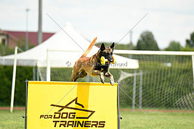 Berry de Fontemordant