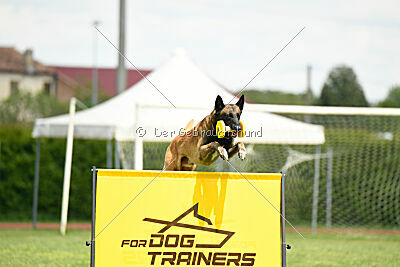 Berry de Fontemordant