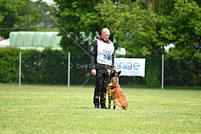 Berry de Fontemordant