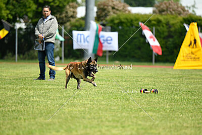 Berry de Fontemordant