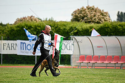 Berry de Fontemordant