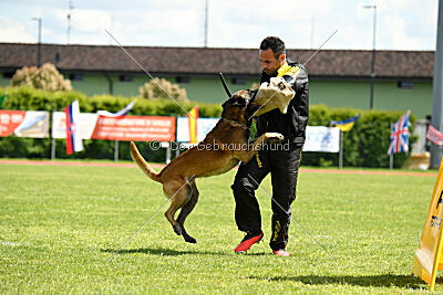 Berry de Fontemordant