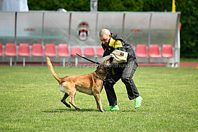 Berry de Fontemordant