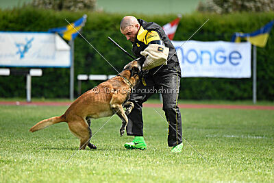 Berry de Fontemordant