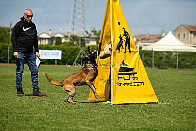 Berry de Fontemordant