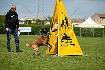 Berry de Fontemordant