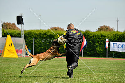 Berry de Fontemordant