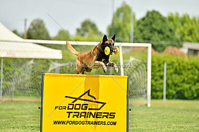 Berry de Fontemordant