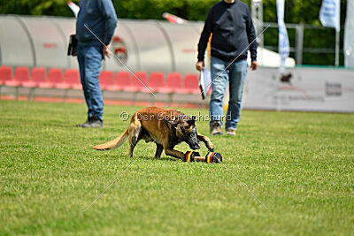 Berry de Fontemordant