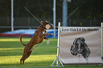 Bert von der Neckarschleife