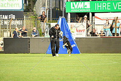 Berta vom Wolfsgraben