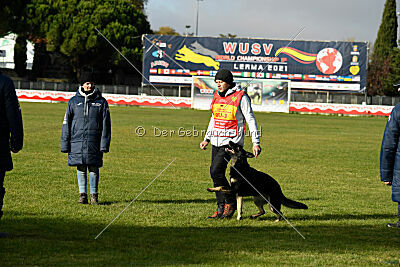 Berta vom Wolfsgraben