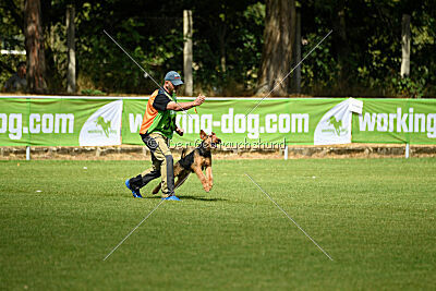 Bertram von der Hirschkanzel