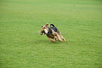 Bertram von der Hirschkanzel