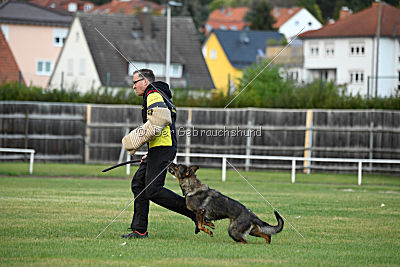 Bessy vom Mueller Haus