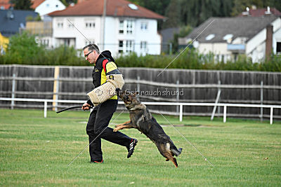 Bessy vom Mueller Haus