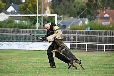 Bessy vom Mueller Haus