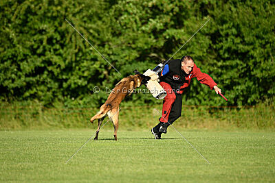Bexter vom puren Leben