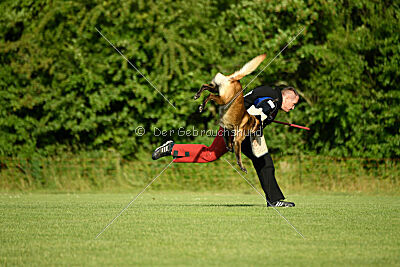 Bexter vom puren Leben