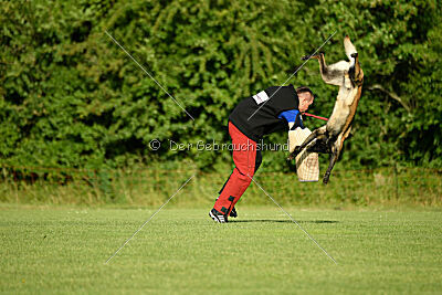 Bexter vom puren Leben