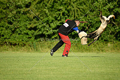 Bexter vom puren Leben