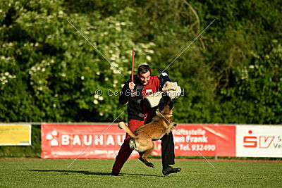 Bexter vom puren Leben