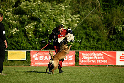 Bexter vom puren Leben