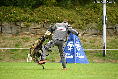 Bexter vom puren Leben