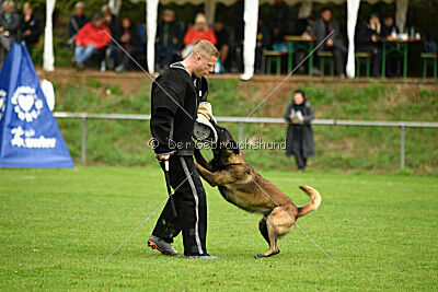 Bexter vom puren Leben
