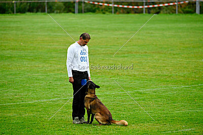 Bexter vom puren Leben