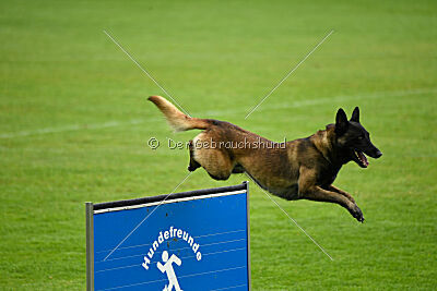 Bexter vom puren Leben