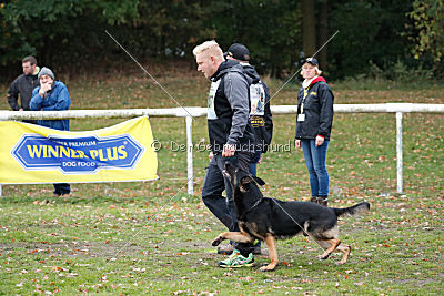 Bexter vom tapferen Krieger