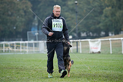 Bexter vom tapferen Krieger