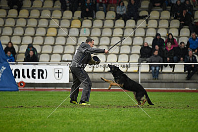 Bexter vom tapferen Krieger