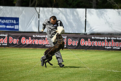 Bico z Kimovy smecky