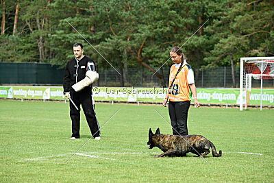 Bico z Kimovy smecky