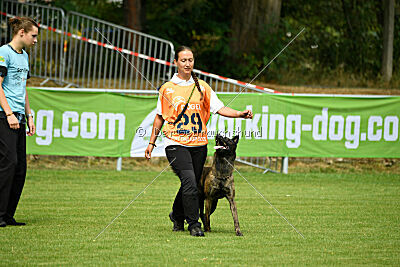 Bico z Kimovy smecky