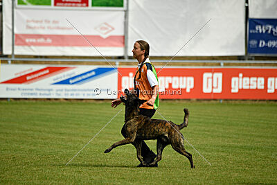 Bico z Kimovy smecky