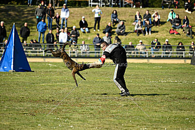 Bico z Kimovy smeèky