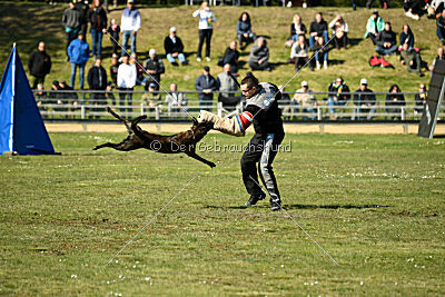 Bico z Kimovy smeèky