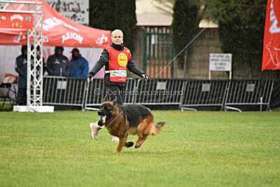 Bijan vom Land des Stolzen Löwen