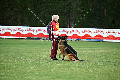 Bijan vom Land des Stolzen Löwen