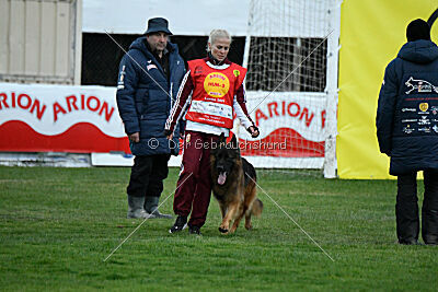 Bijan vom Land des Stolzen Löwen