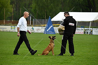 Billie vom Haus Mecki