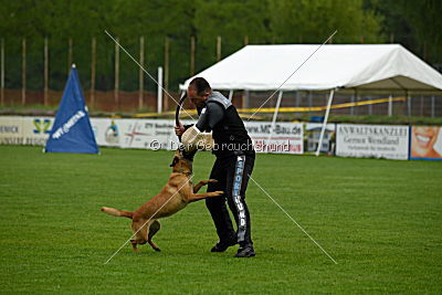 Billie vom Haus Mecki