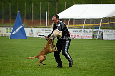 Billie vom Haus Mecki