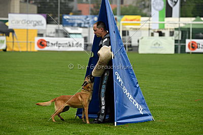 Billie vom Haus Mecki